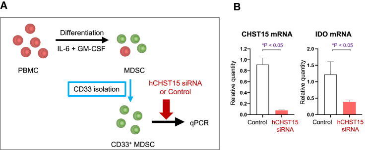 Figure 6