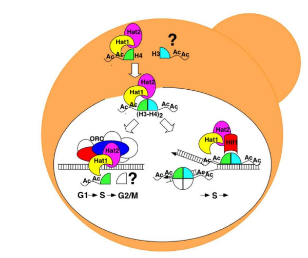 Figure 9