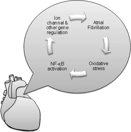 FIG. 5.