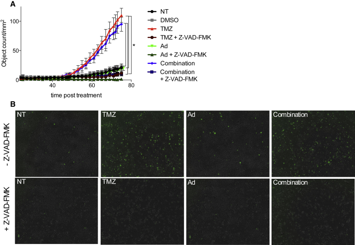 Figure 3