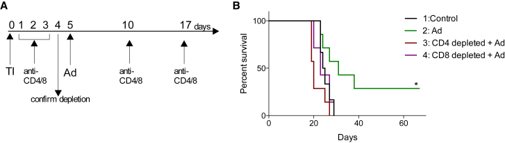 Figure 5