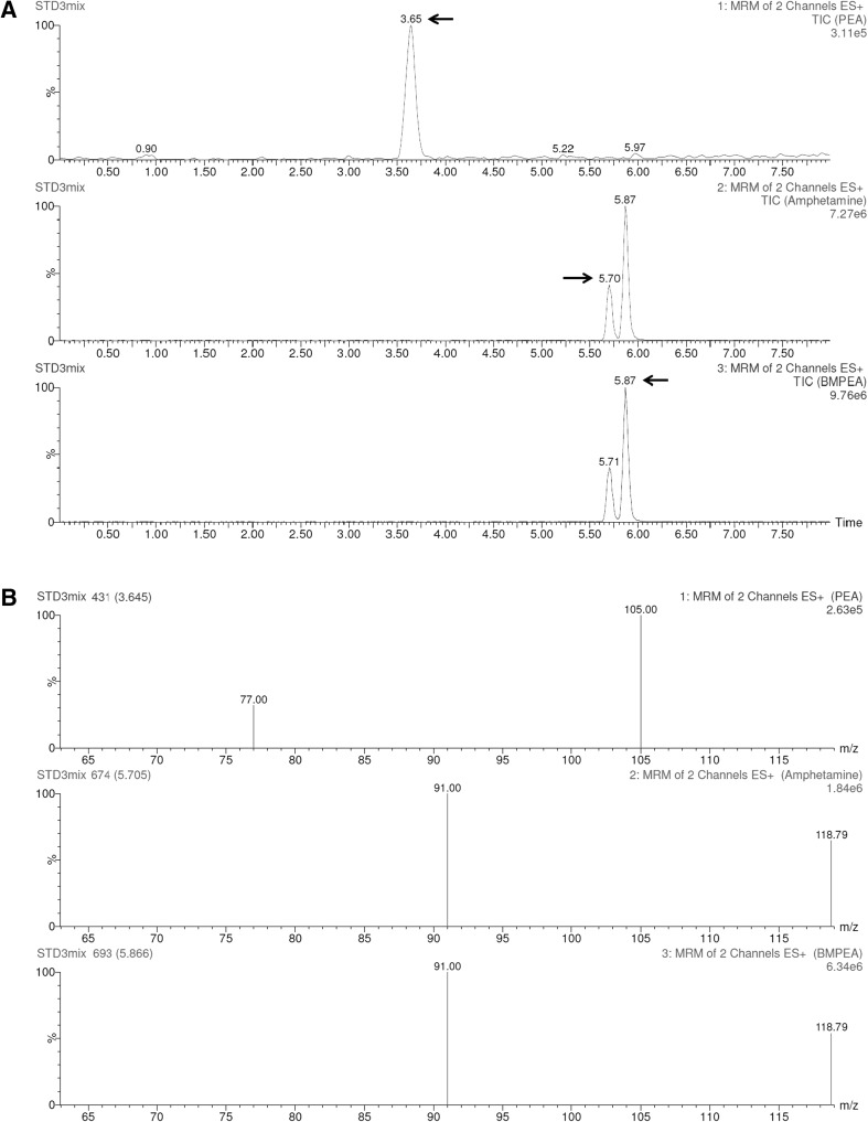 Fig. 3