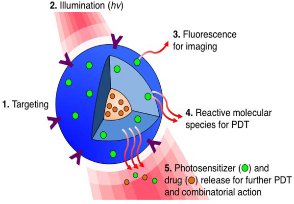 Figure 1: