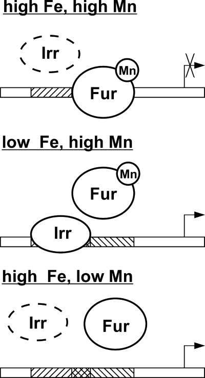 FIGURE 8.