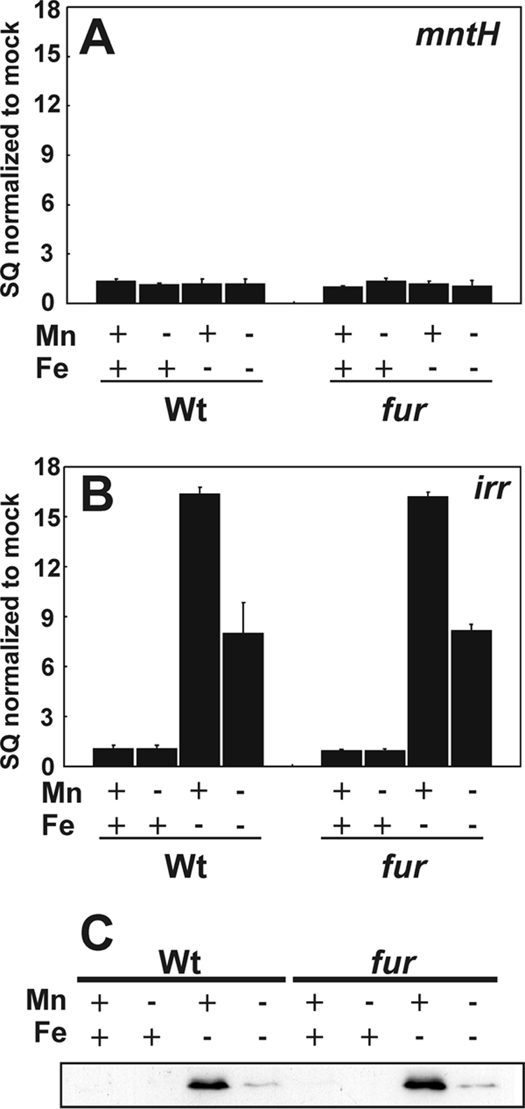 FIGURE 3.