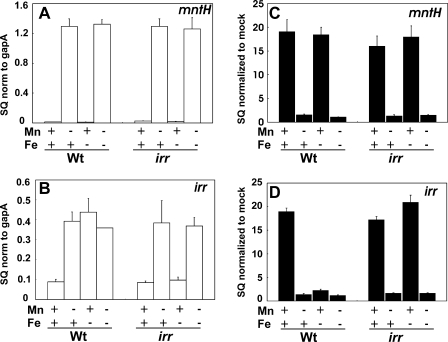 FIGURE 5.