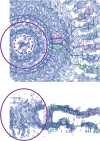 Figure 12.