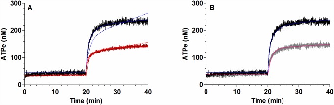 Fig 10