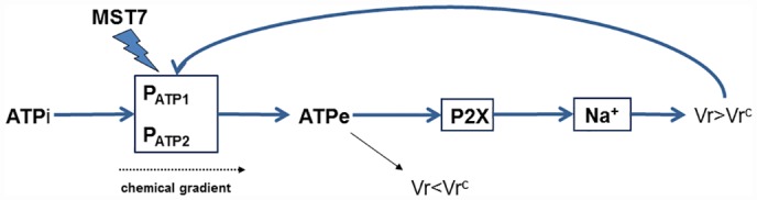 Fig 13