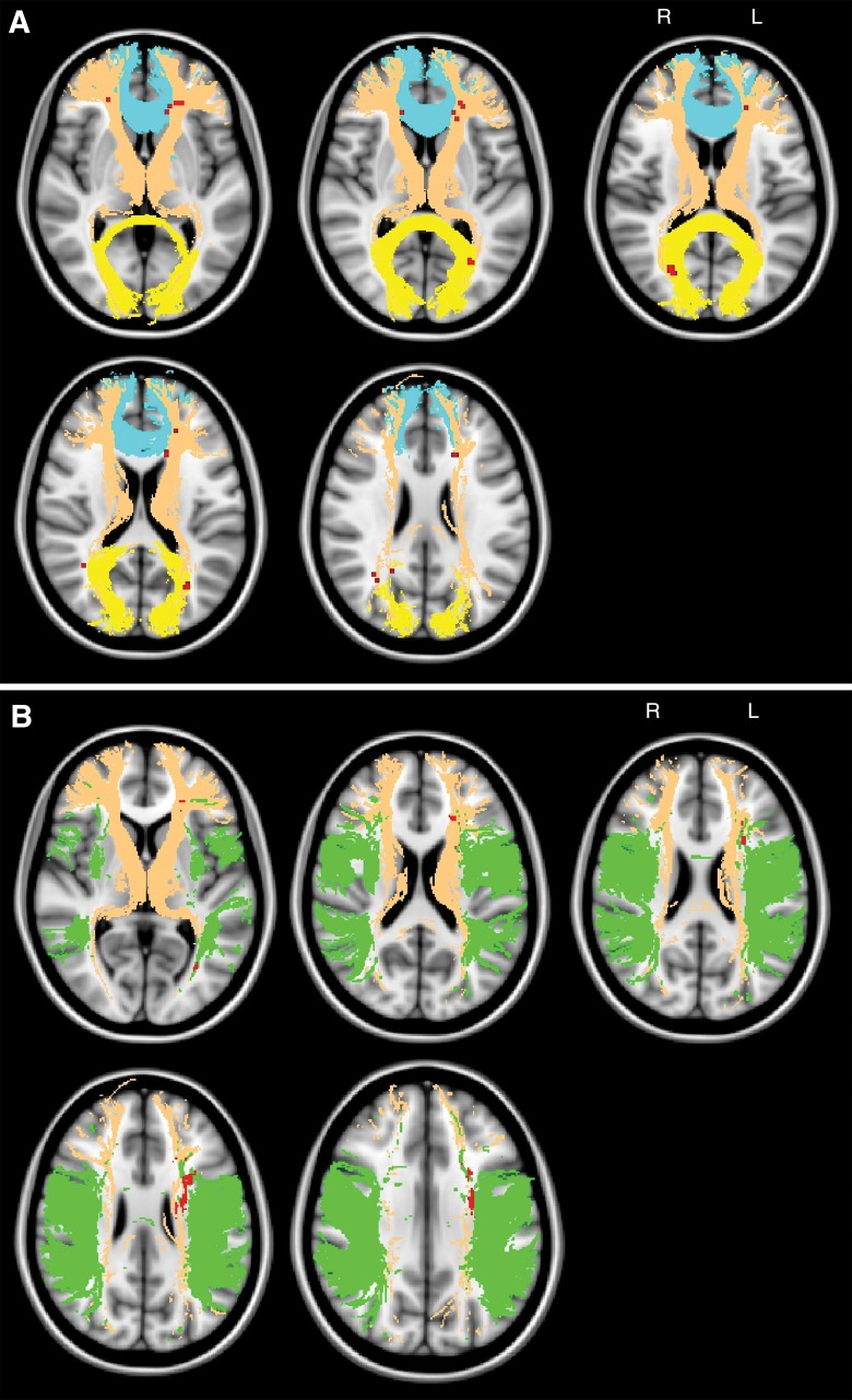 Figure 2: