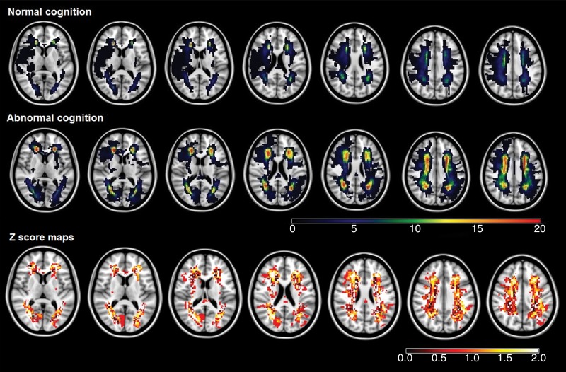 Figure 1b: