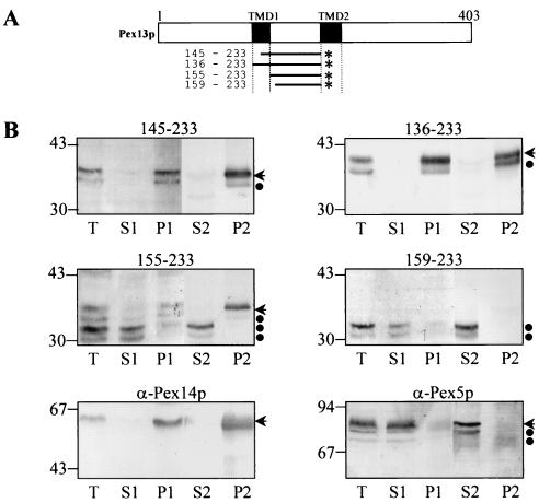 FIG. 8