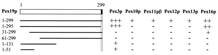 FIG. 9