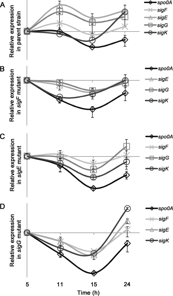 FIG 2