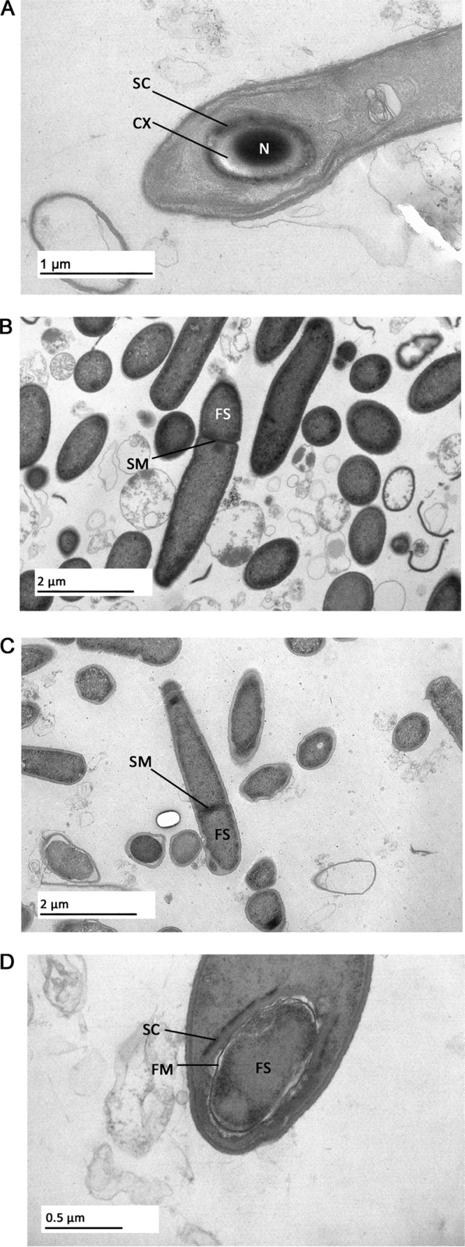 FIG 5