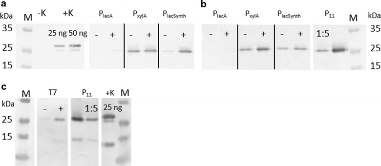 Fig. 8