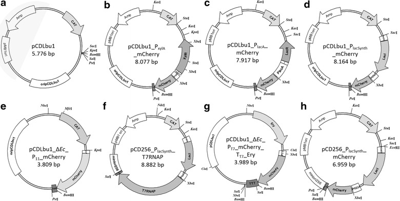 Fig. 2