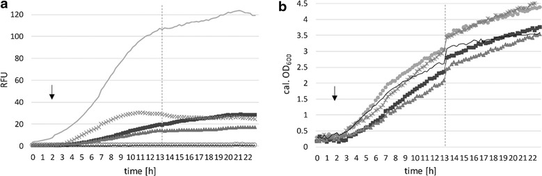 Fig. 7