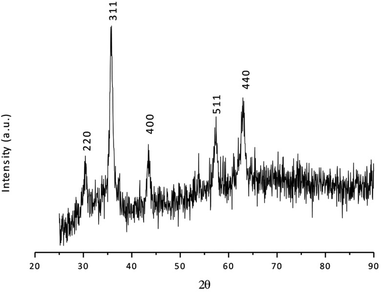 Fig. 2