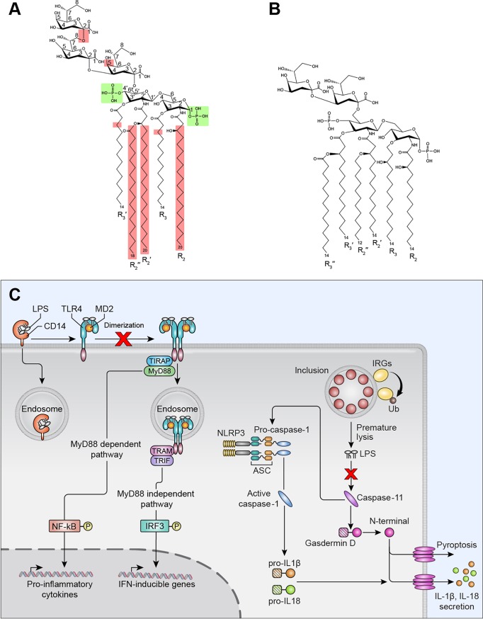 FIG 4