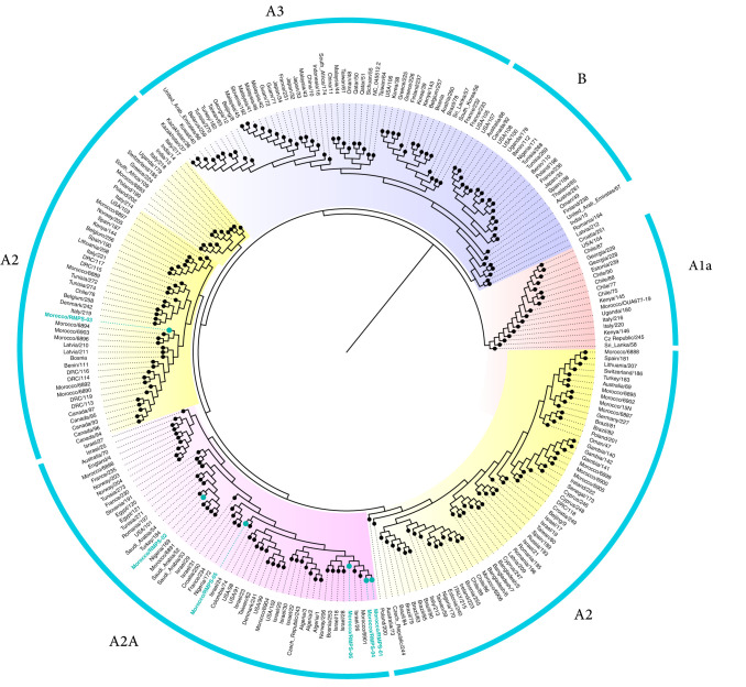 FIG 1