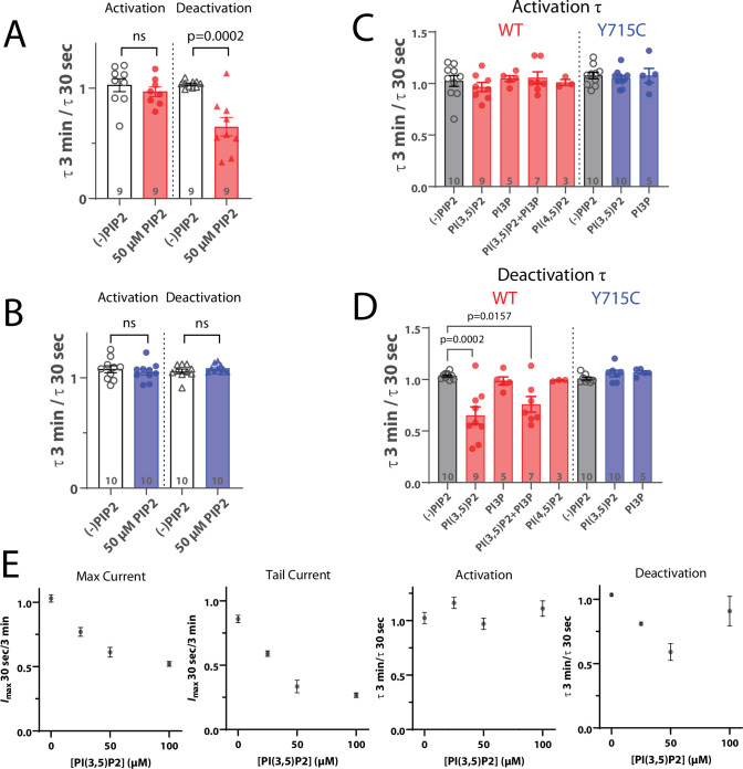 Figure 6—figure supplement 2.