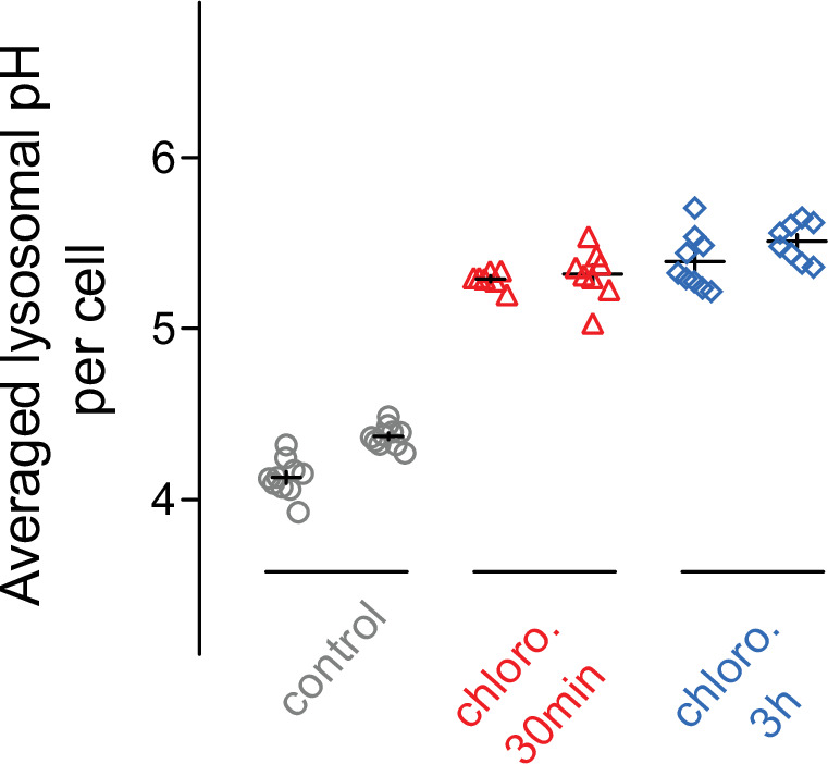 Figure 3—figure supplement 1.