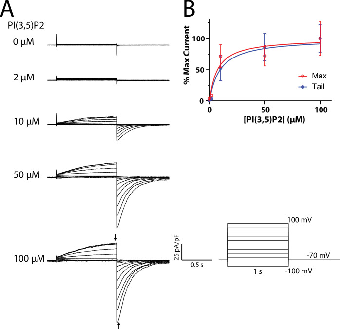 Figure 6—figure supplement 3.