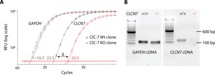 Figure 5—figure supplement 1.