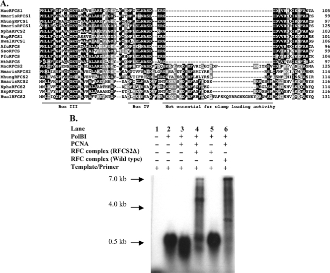 FIG. 6.