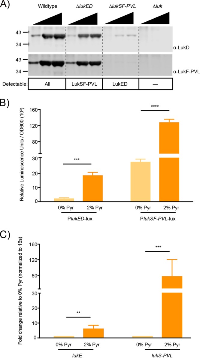 FIG 3 