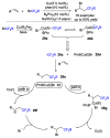 Scheme 29