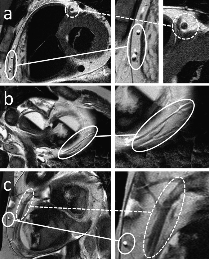 Figure 12.