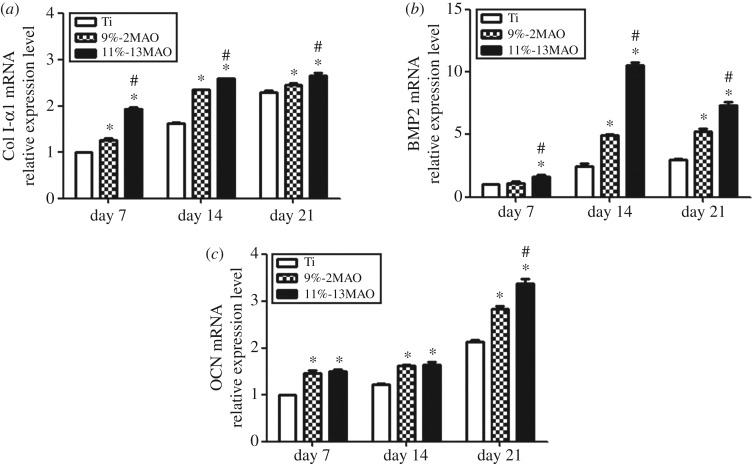 Figure 6.