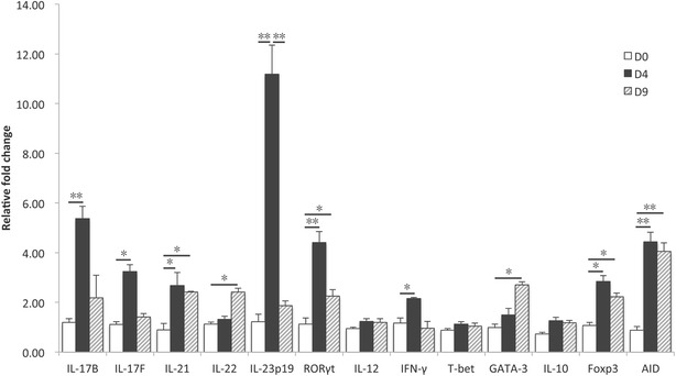 Figure 4