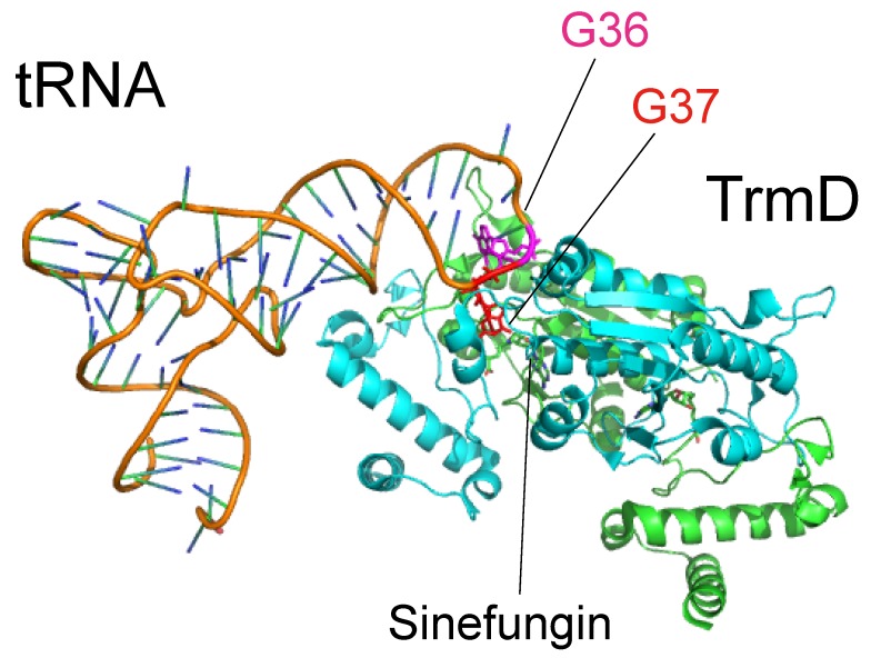 Figure 7