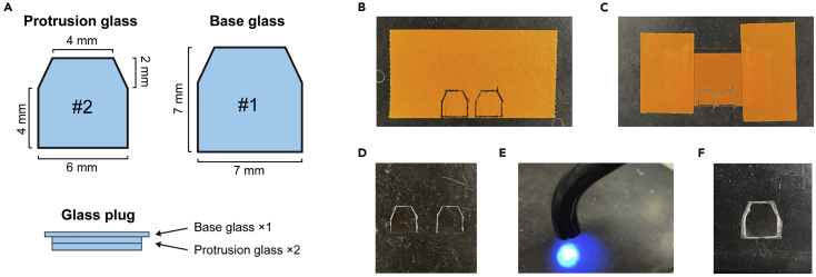 Figure 1