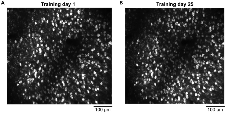 Figure 7