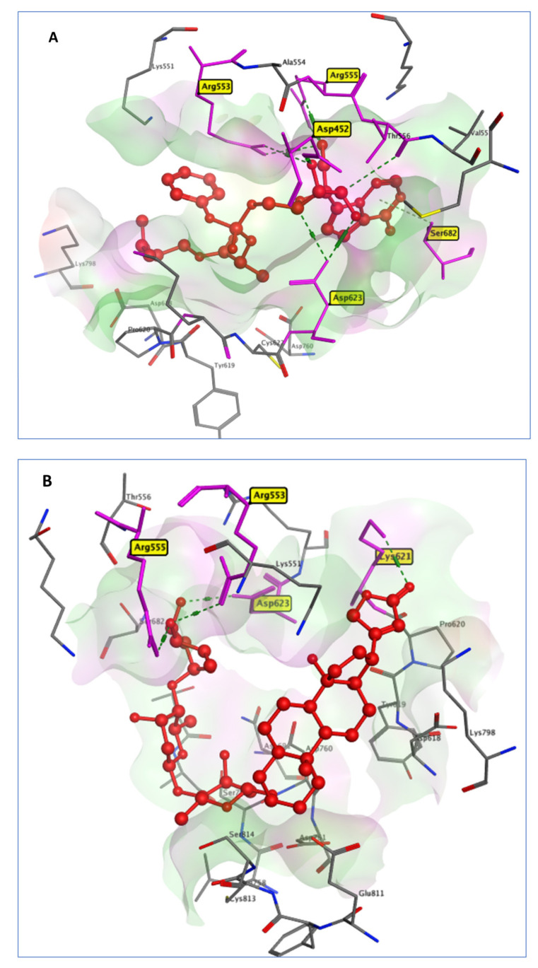 Figure 5