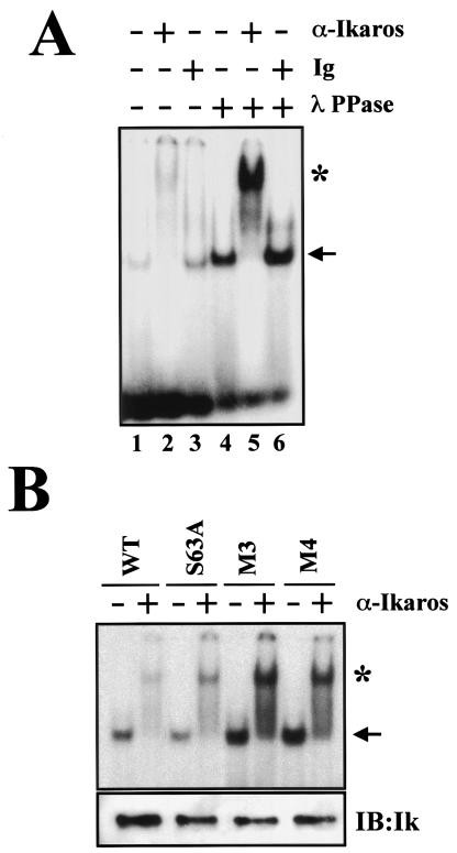 FIG. 6.