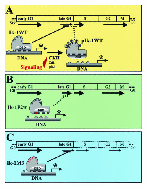 FIG. 7.