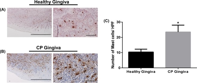 FIG 1