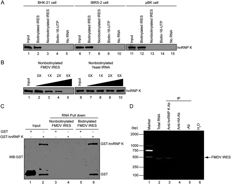 FIG 1