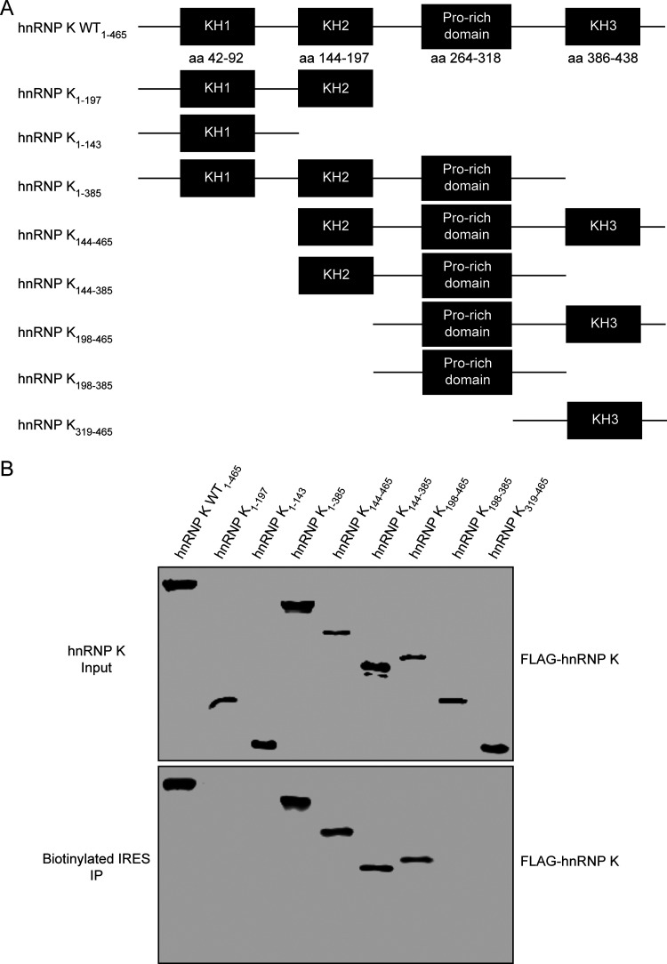 FIG 6