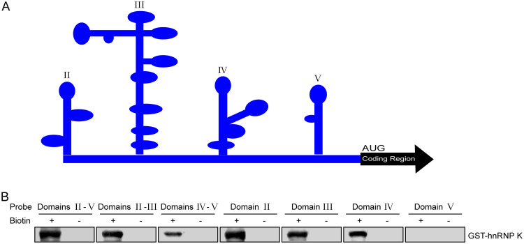 FIG 5