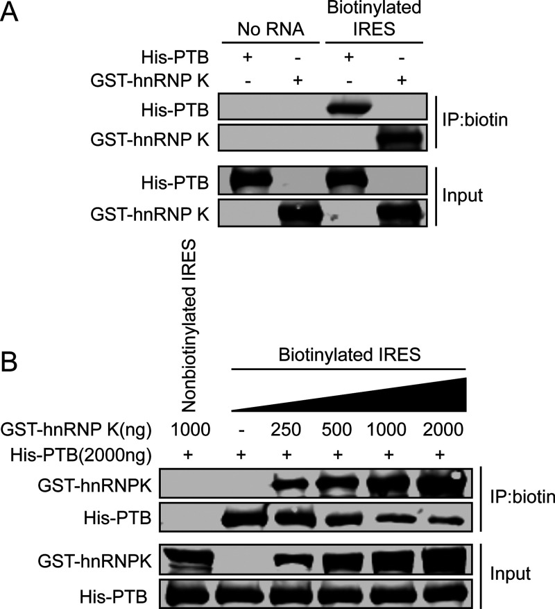 FIG 7