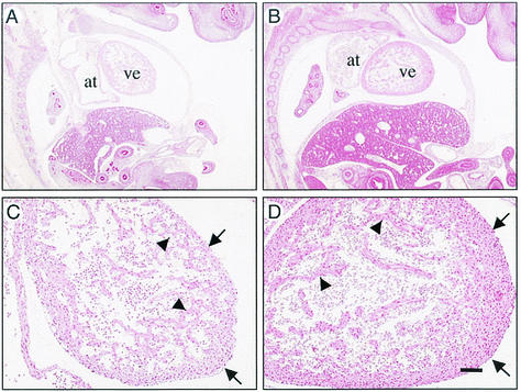 FIG. 7.