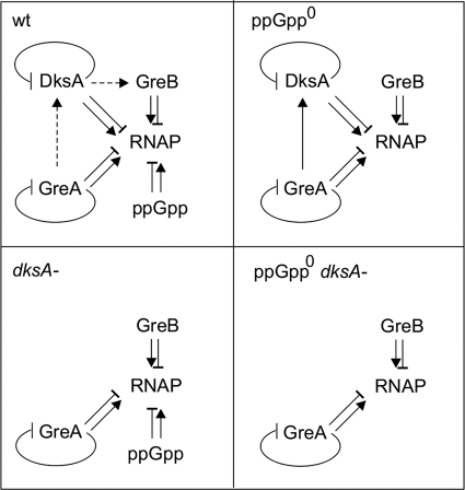 Fig 6