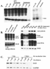 FIG. 6.