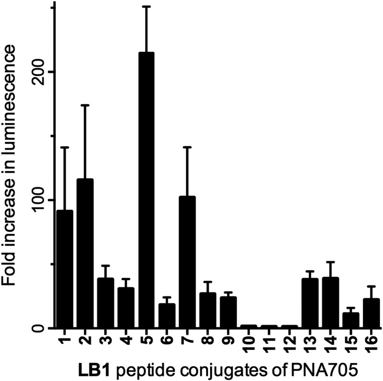 Fig. 2